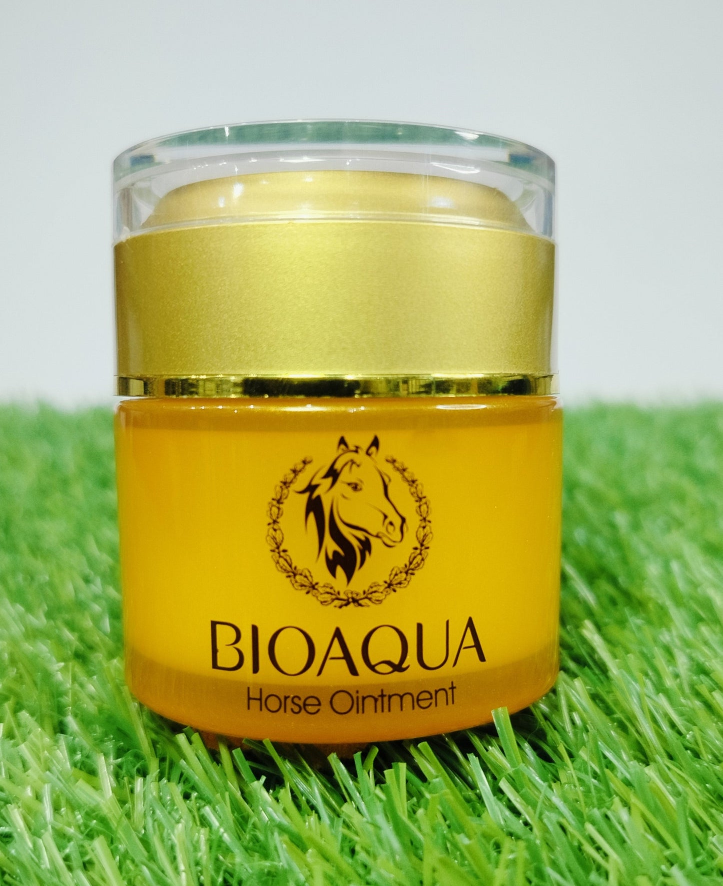 BIOAQUA HORSE OINTMENT FACIAL MOISTURIZING DAY CREAM 50G